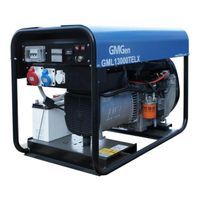 GMGen Power Systems GML13000TELX