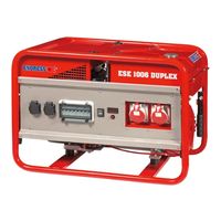 ENDRESS ESE 1006 DSG/A -GT ES Duplex с блоком автоматики в комплекте