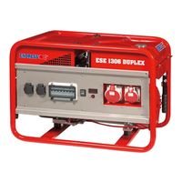 ENDRESS ESE 1306 DSG-GT ES Duplex