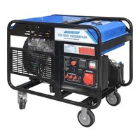 ТСС SGG 18000EH3A
