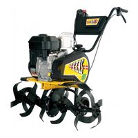 Texas Lilli 572 B