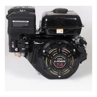 Lifan 170FD D20