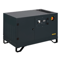 Gazvolt Pro 10000 T Neva 06