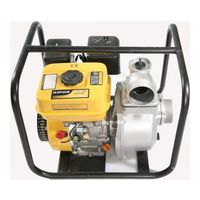 Kipor KGP30