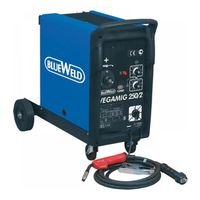 Blueweld VEGAMIG 250/2 TURBO