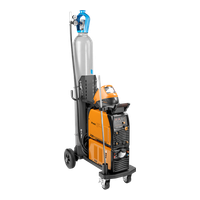 Сварог PRO TIG TR 300